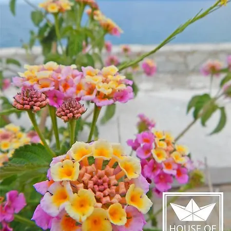 House Of Joy With 3 Bedrooms And Great Views * Αγία Ευφημία